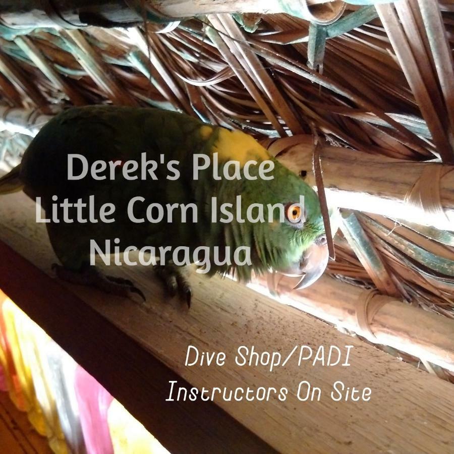 Derek'S Place Eco-Lodge Ilhas do Milho Exterior foto